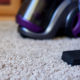 Best Carpet Cleaners for Pets